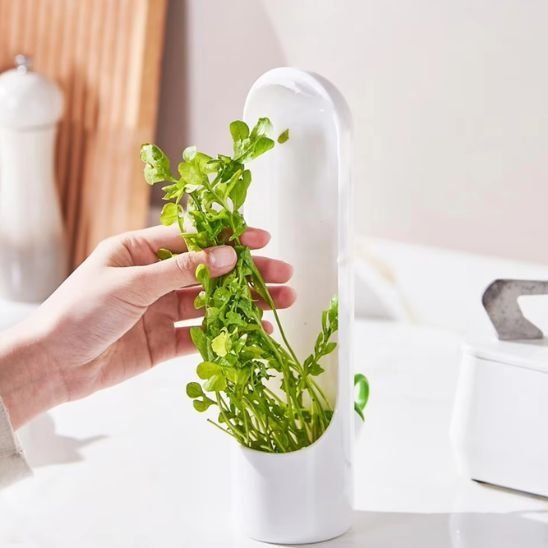 Boite de conservation alimentaire | Hermétique et Durable - LYN CUISINE