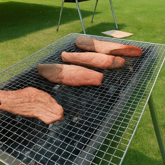 Grille pour barbecue | Antiadhésive Résistante - LYN CUISINE